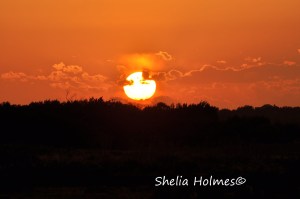 98bed-sunsesheliaholmesc2a9