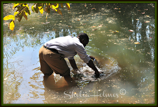 A Look Back at 2012 as 2013 Zips By.